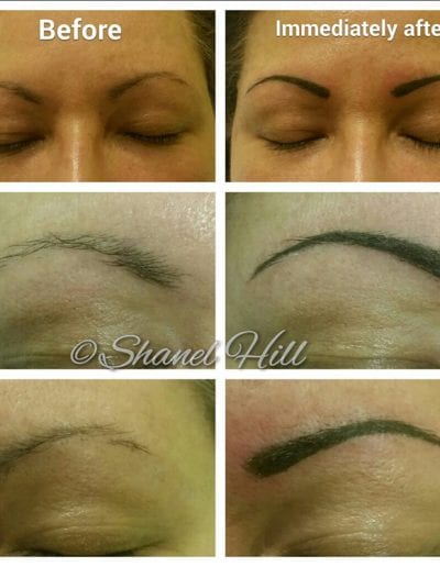 Permanent Cosmetics and Eyebrows St Clair Shores Michigan