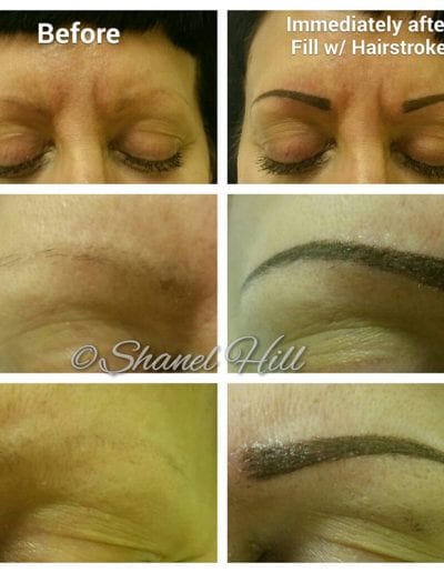 Cosmetic Permanent Makeup Solutions St Clair Shores Michigan