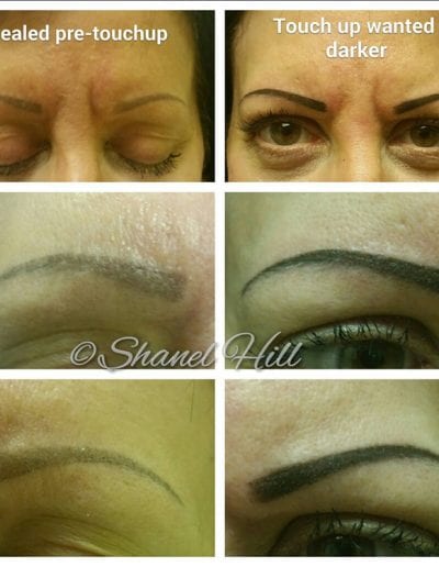 Permanent Eyebrows and Makeup Services in St Clair Shores Michigan